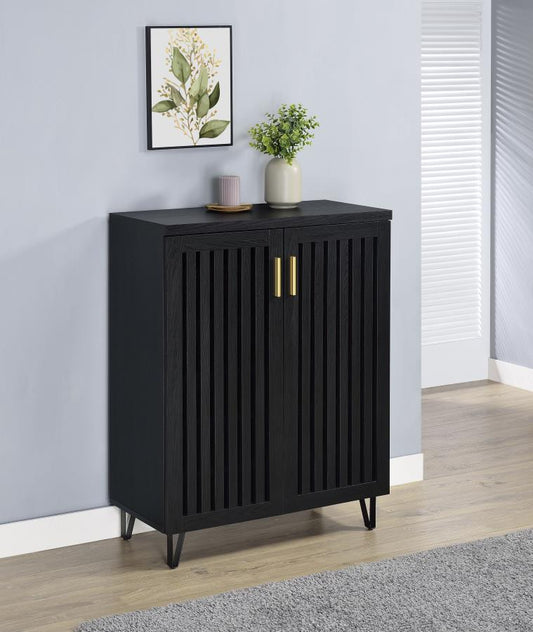 Brixton 2-door Entryway Shoe Storage Cabinets