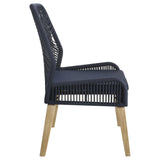 Nakia Woven Rope Dining Side Chairs (Set of 2)