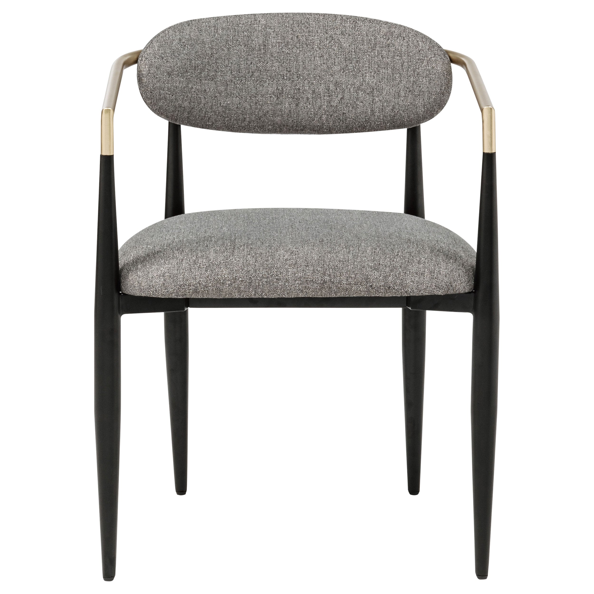 Alexis Fabric Upholstered Dining Arm Chair (Set of 2)