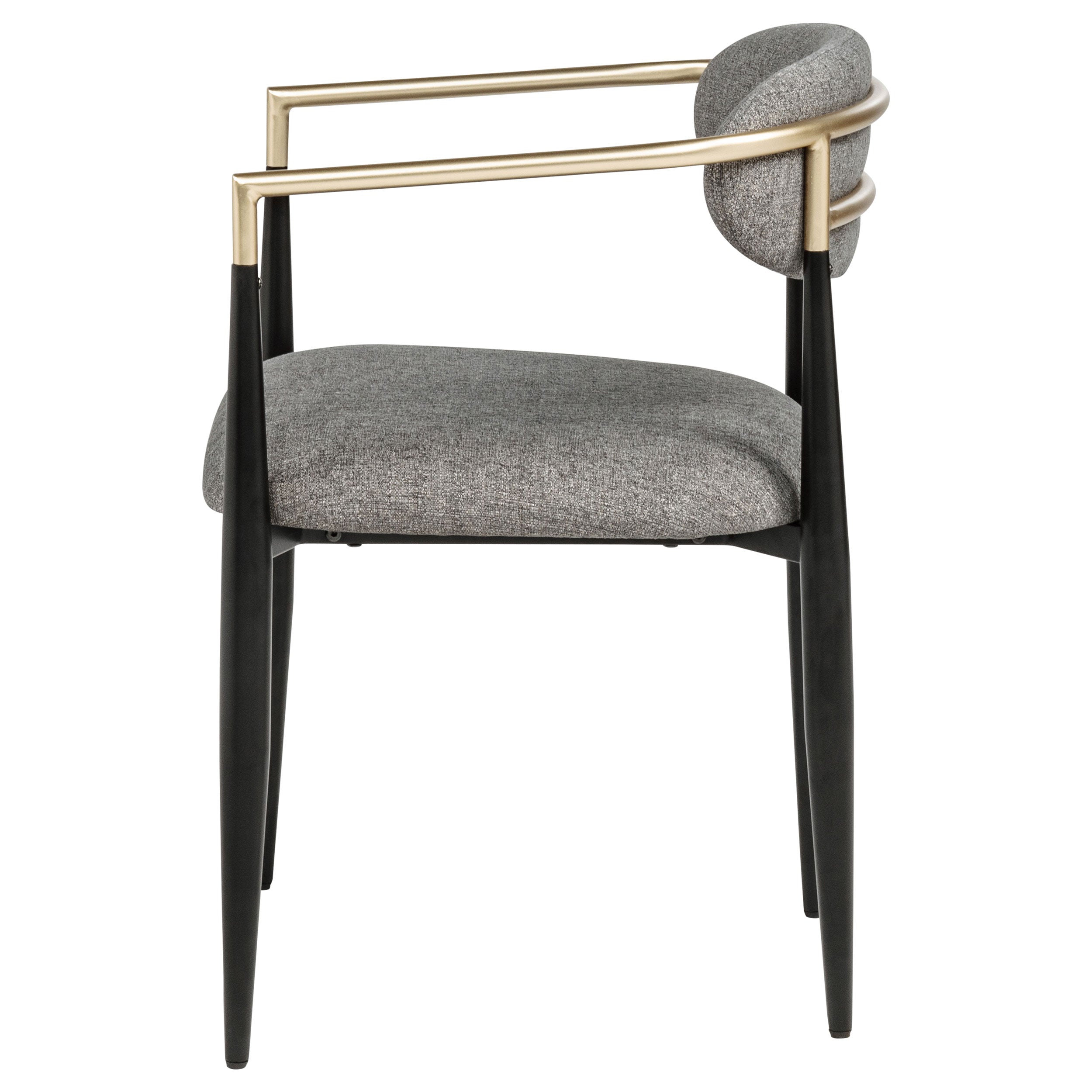 Alexis Fabric Upholstered Dining Arm Chair (Set of 2)
