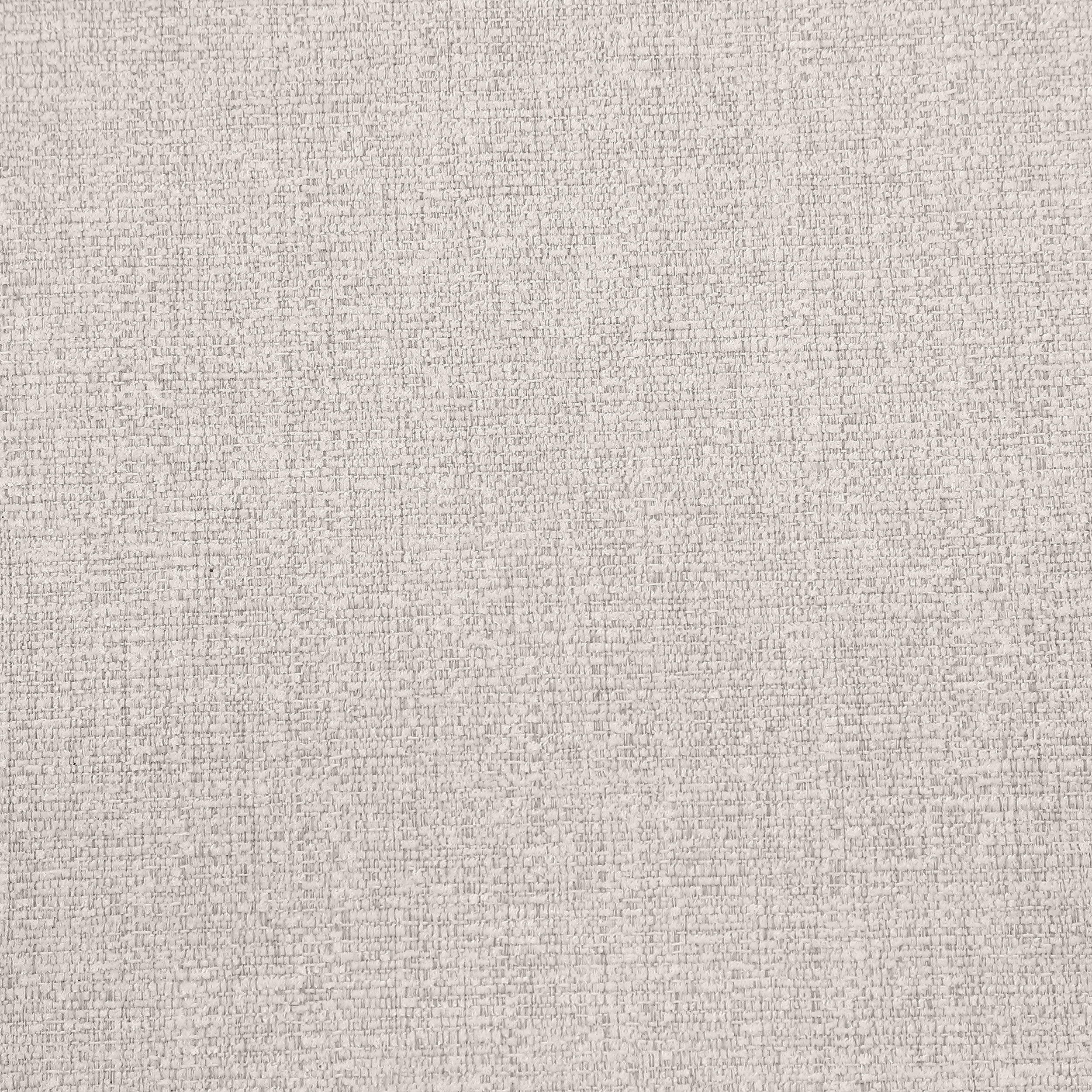 Alexis Fabric Upholstered Dining Arm Chair (Set of 2)