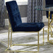 Blue / Gold