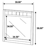 Carlton Dresser Mirror Cappuccino