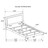 Felicity Wood LED Panel Bed High Gloss