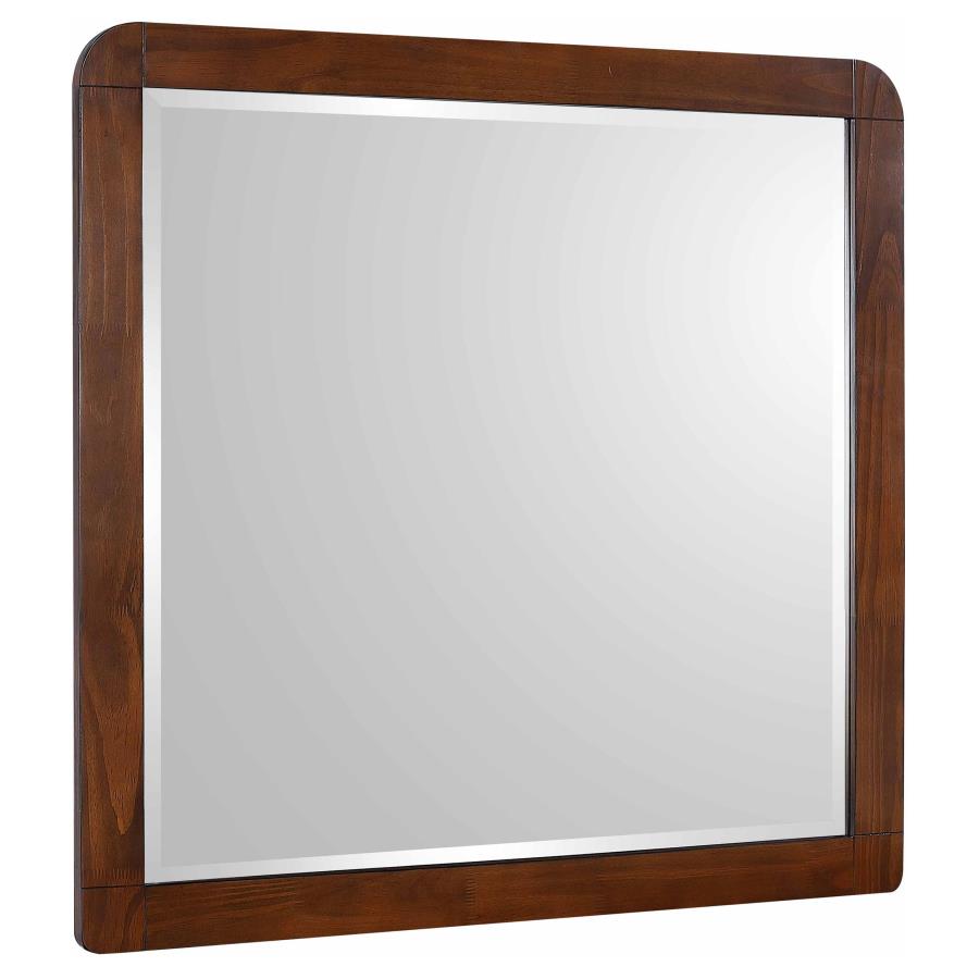 Robyn Dresser Mirror Dark