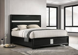 Miranda 54-inch Upholstered Panel Bed