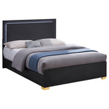 Marceline Wood LED Panel Bed