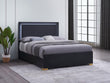 Marceline Wood LED Panel Bed
