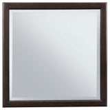 Emberlyn Dresser Mirror Brown