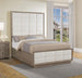 Taupe Oak