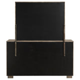 Durango 8-drawer Dresser with Mirror