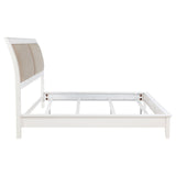 Bexhill 56-inch Upholstered Panel Bed