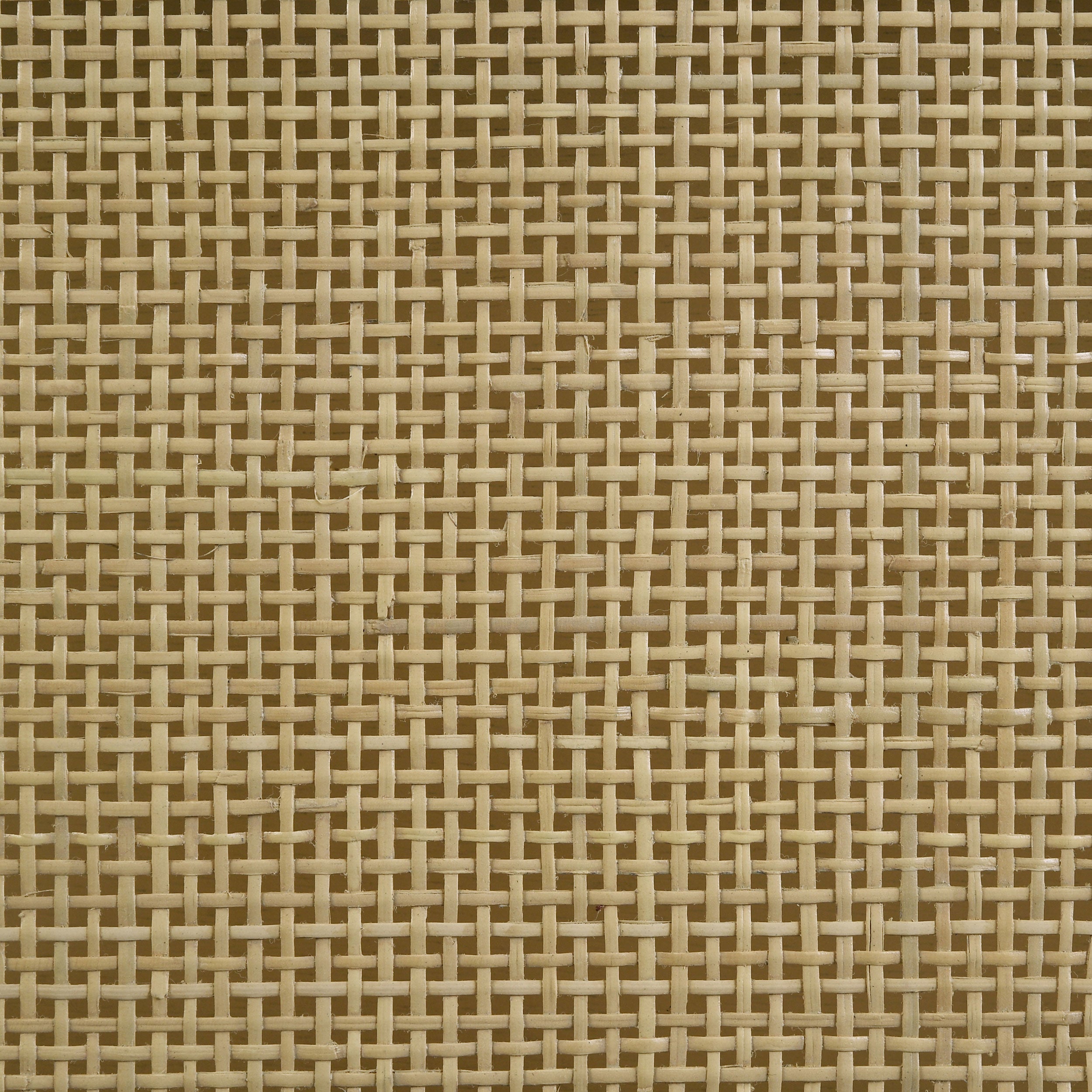 Arini Rattan Panel Bed