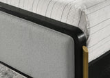 Arini Upholstered Panel Bed