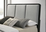 Arini Upholstered Panel Bed