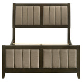 Wilkes 51-inch Upholstered Bed Dark Cocoa
