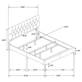 Kendall Upholstered Panel Bed