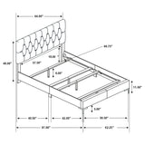 Kendall Upholstered Panel Bed