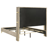 Lucia 61-inch Upholstered Wingback Bed
