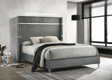 Lucia 61-inch Upholstered Wingback Bed