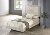 Trenton 54-inch Wood Panel Bed Rustic Cream