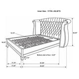 Barzini Upholstered Wingback Bed