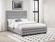 Patricia 58-inch Boucle Upholstered Bed Grey