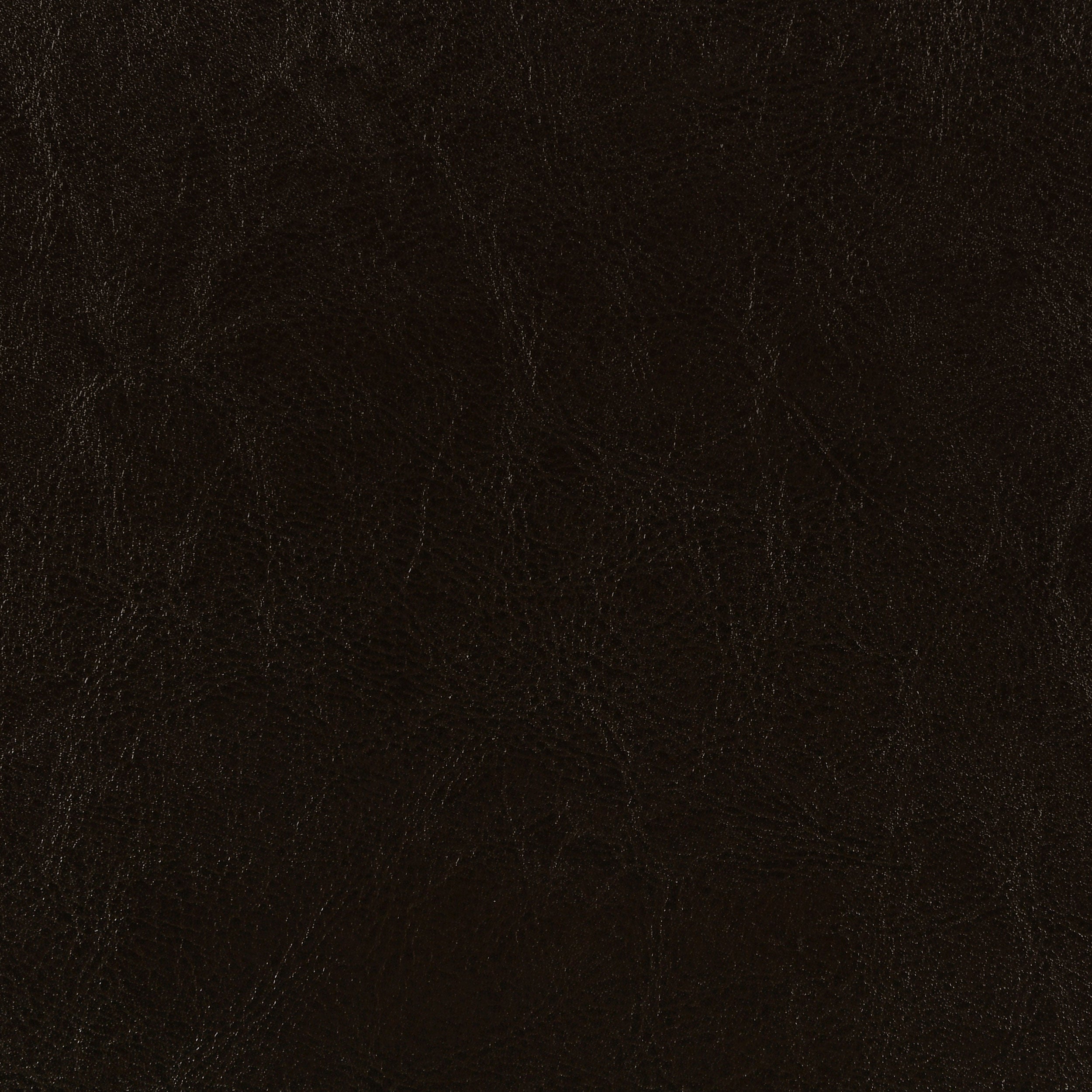 Dorian Faux Leather Upholstered Panel Bed