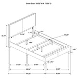 Dorian Fabric Upholstered Panel Bed