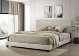 Dorian Fabric Upholstered Panel Bed