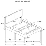 Dorian Fabric Upholstered Panel Bed