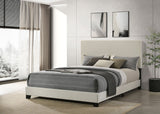 Dorian Fabric Upholstered Panel Bed
