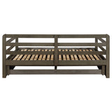 Sorrento 2-drawer Twin XL Daybed with Extension Trundle Grey