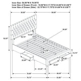 Soledad Upholstered Storage Panel Bed