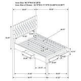 Soledad Upholstered Storage Panel Bed