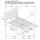 Soledad Upholstered Storage Panel Bed