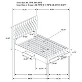 Soledad Upholstered Storage Panel Bed