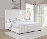 Natasha 65-inch Upholstered Wingback Bed Cream