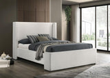 Alamosa Boucle Upholstered Wingback Bed
