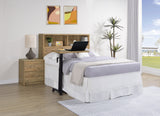 Westpark 49-inch Bookcase Headboard