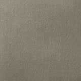 Delsea Upholstered Panel Platform Bed Light Brown