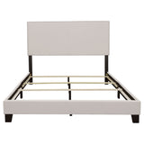 Boyd Upholstered Panel Bed