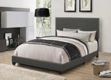 Boyd Upholstered Panel Bed