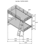 Carson Metal Twin Over Twin Bunk Bed Glossy