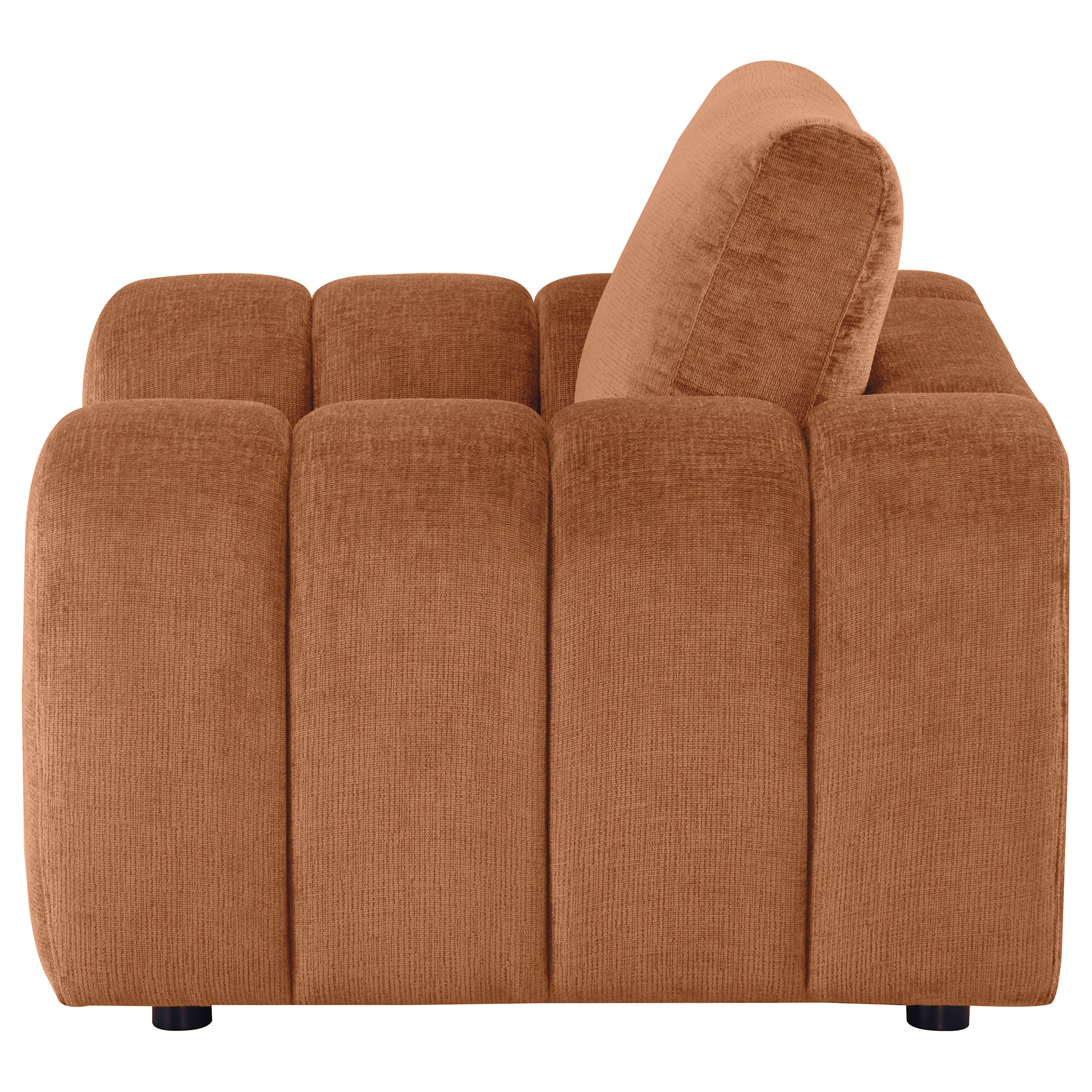 Burnett Chenille Upholstered Accent Chair