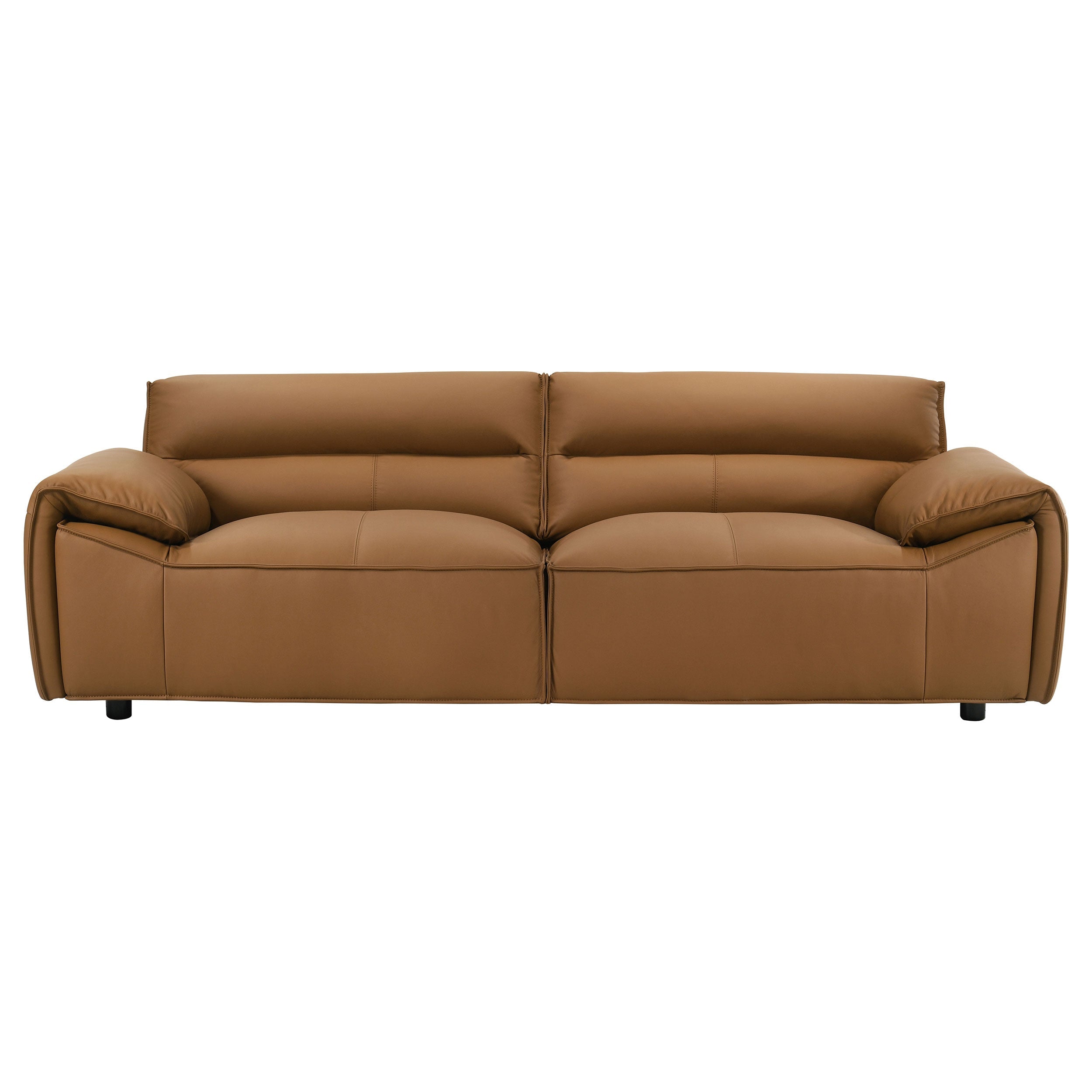 Buxton Leather Upholstered Sofa Set