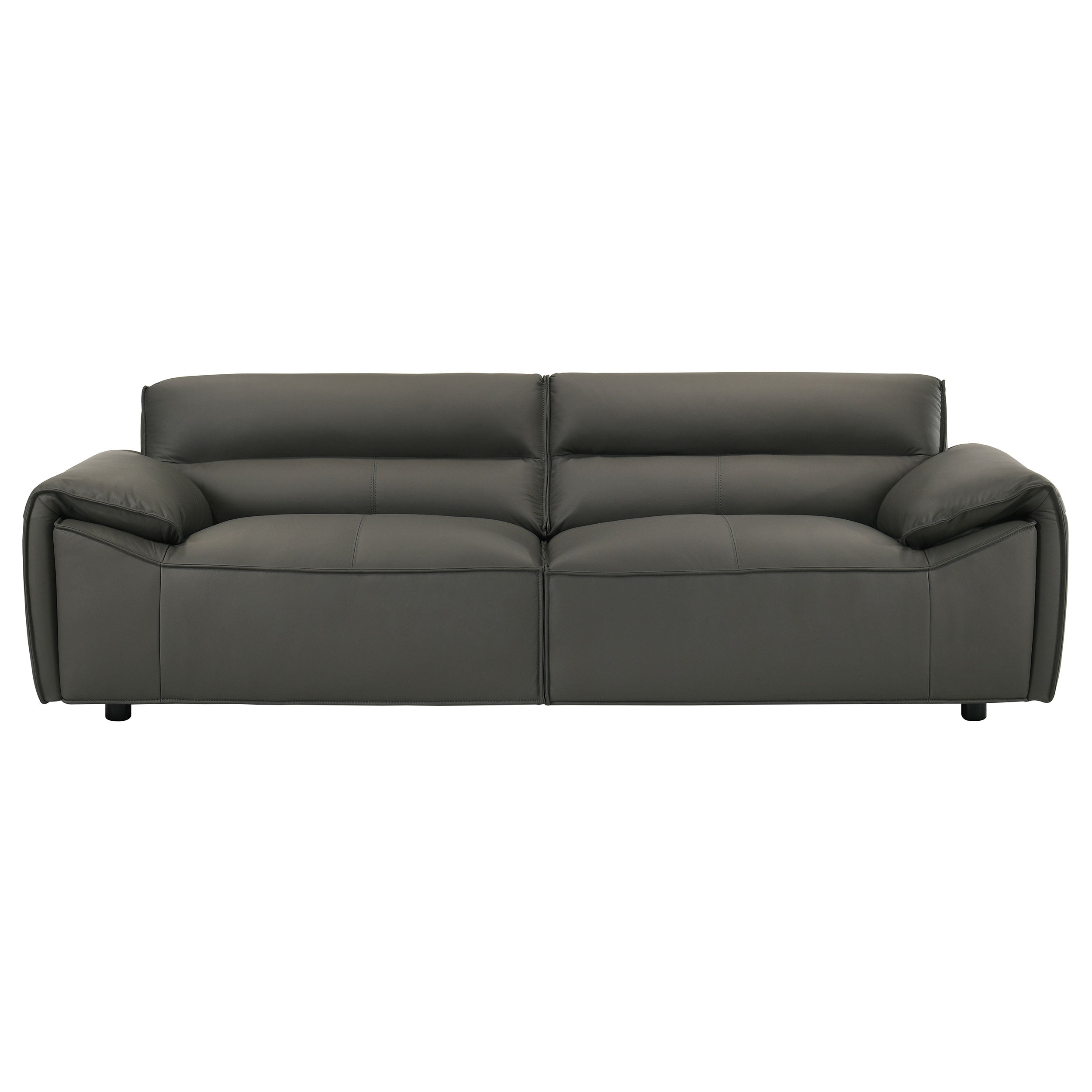 Buxton Leather Upholstered Sofa Set
