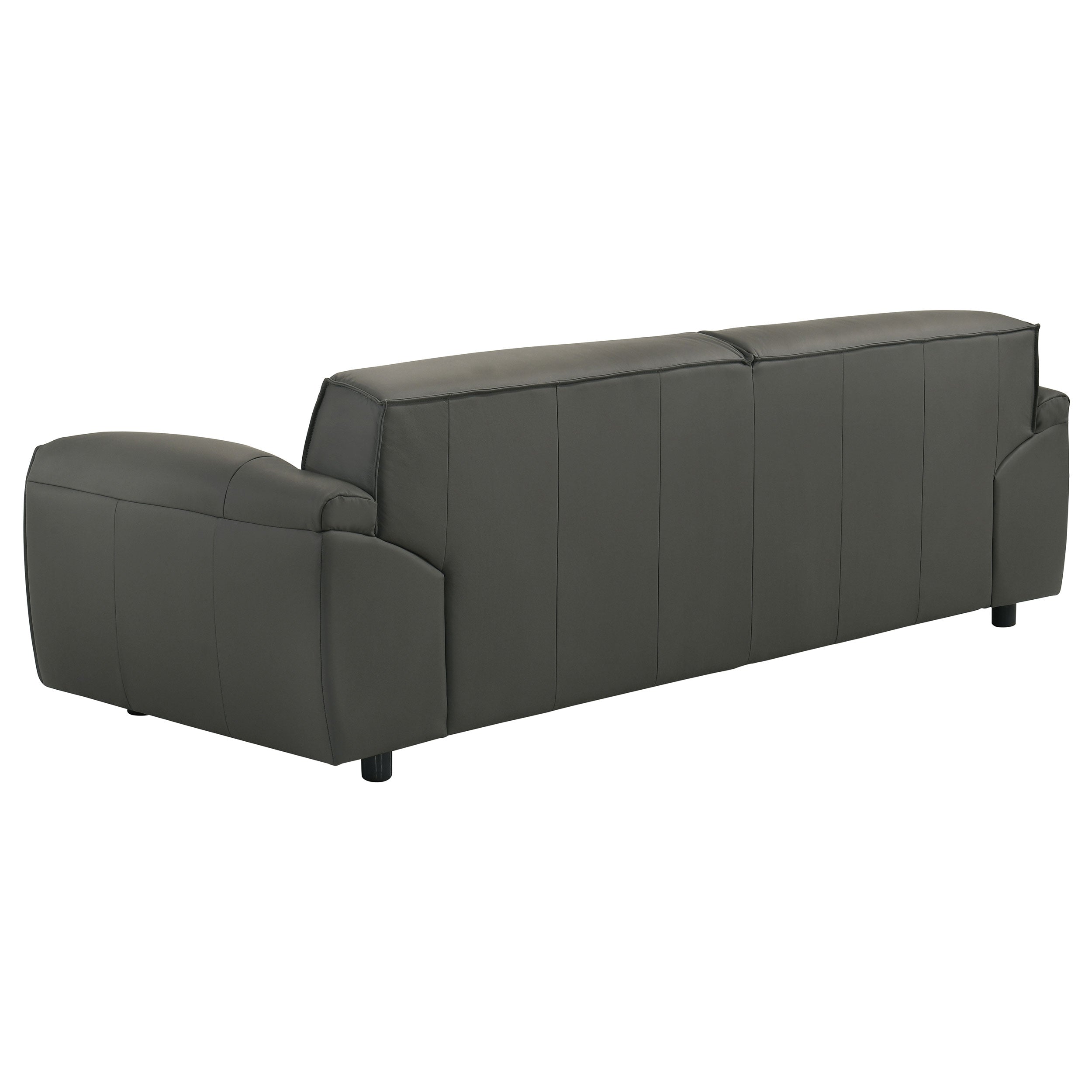 Buxton Leather Upholstered Sofa Set