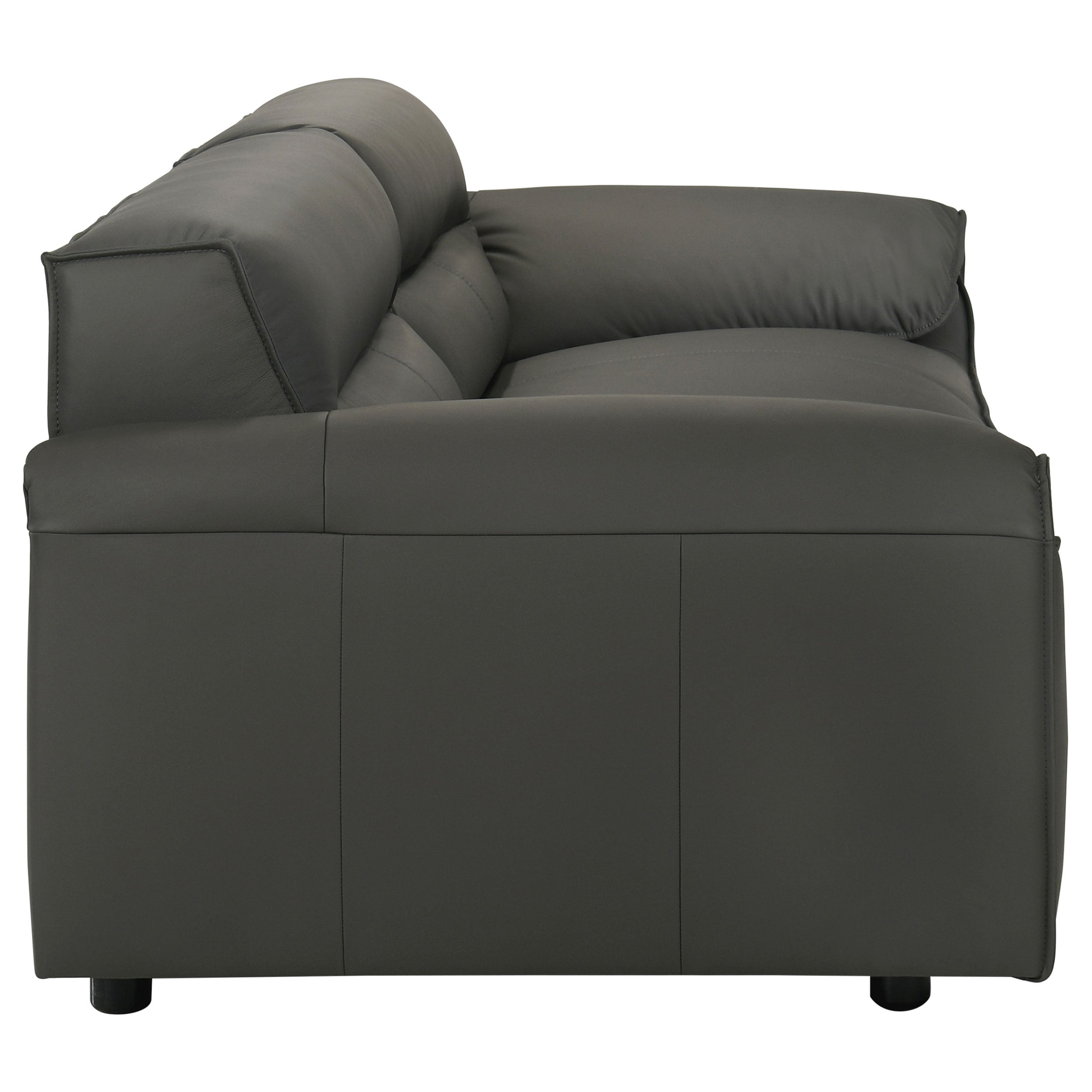 Buxton Leather Upholstered Sofa Set