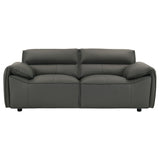 Buxton Leather Upholstered Sofa Set